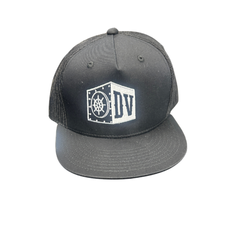 District Vault "Vault logo" Snap back Hat